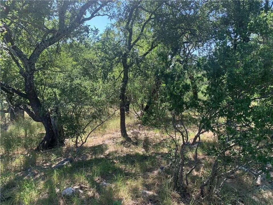 702 Deep Shadows Dr, Horseshoe Bay, TX, 78657