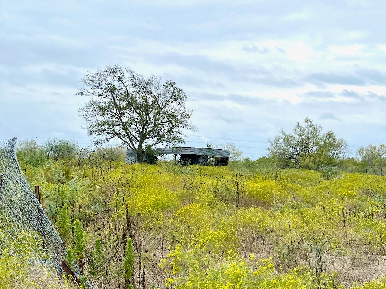 11604 Moore Rd, Austin, TX, 78719