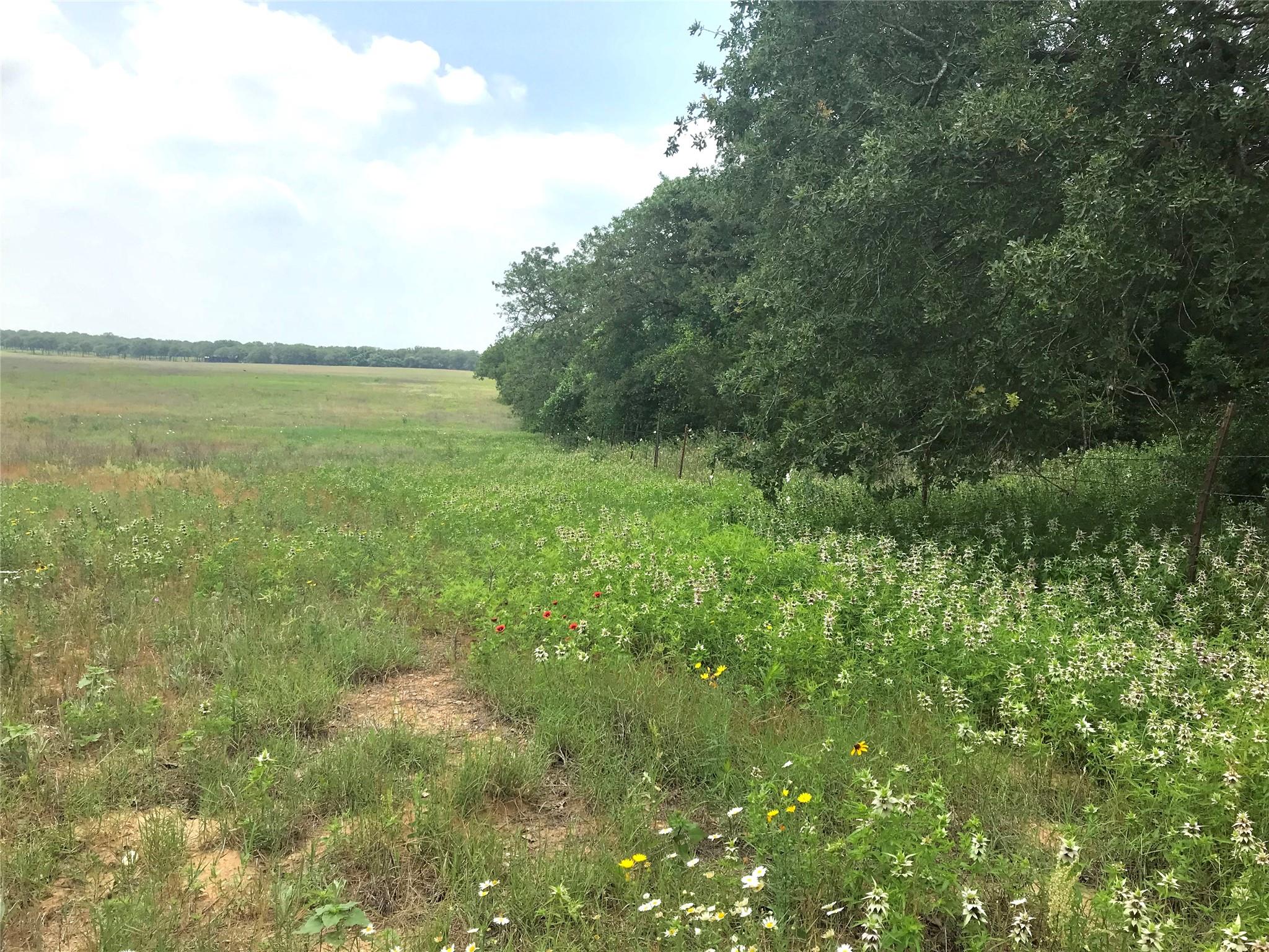 1672 Sayers Rd, Bastrop, TX, 78602