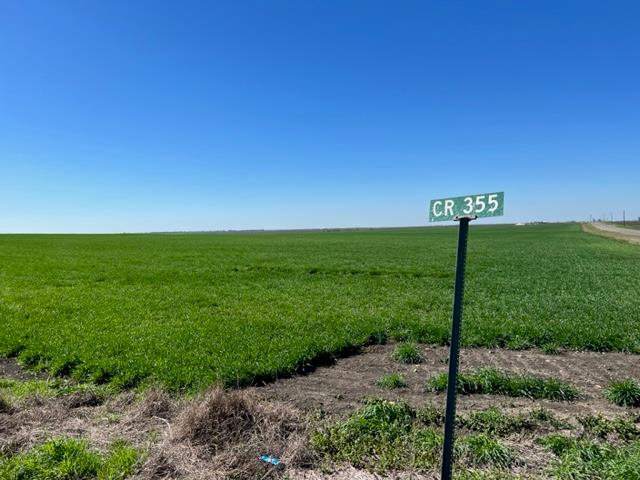 Tract 3 CR 355 None, Rosebud, TX, 76519
