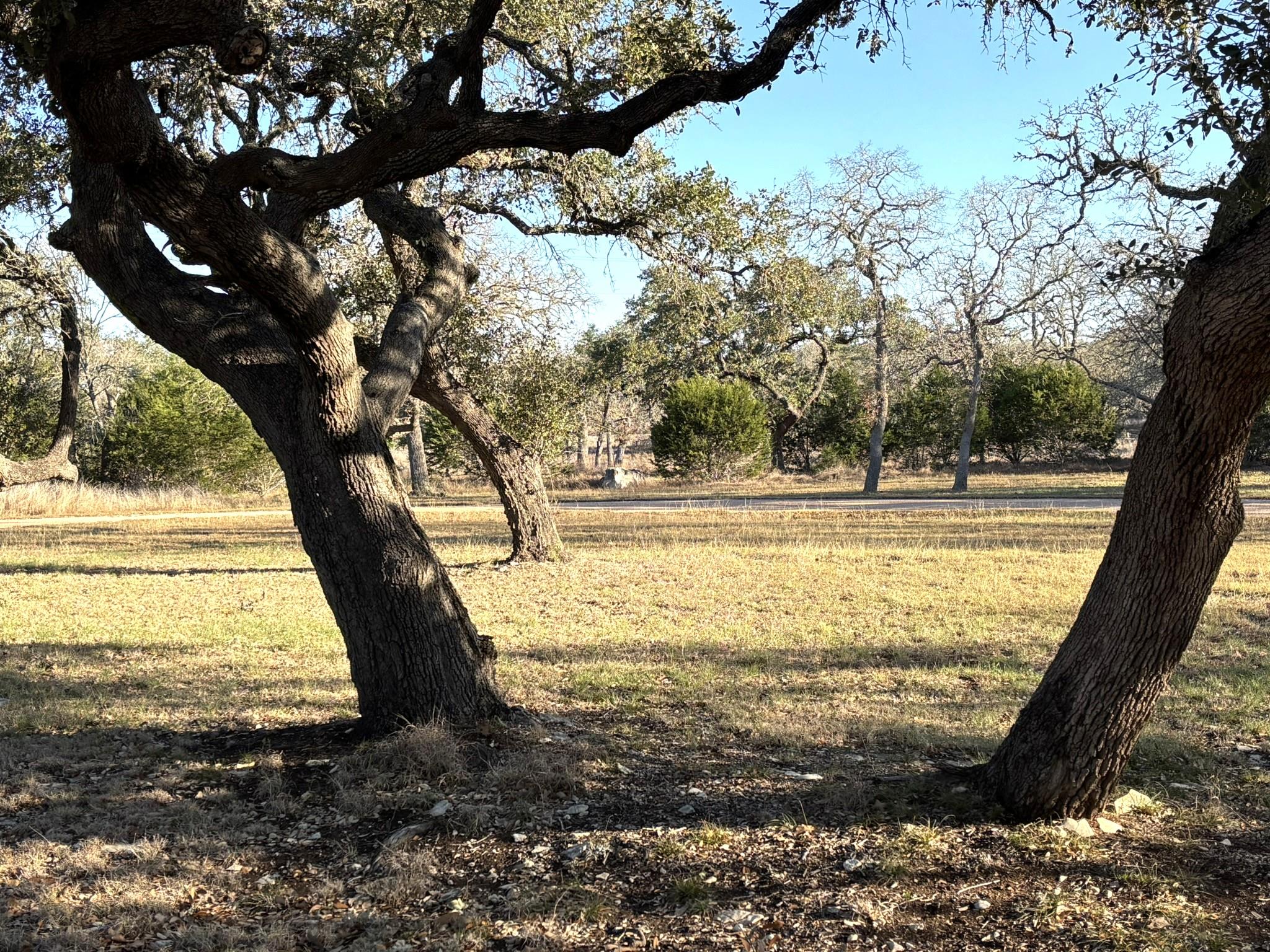 944 Fm 3351 None, Boerne, TX, 78006