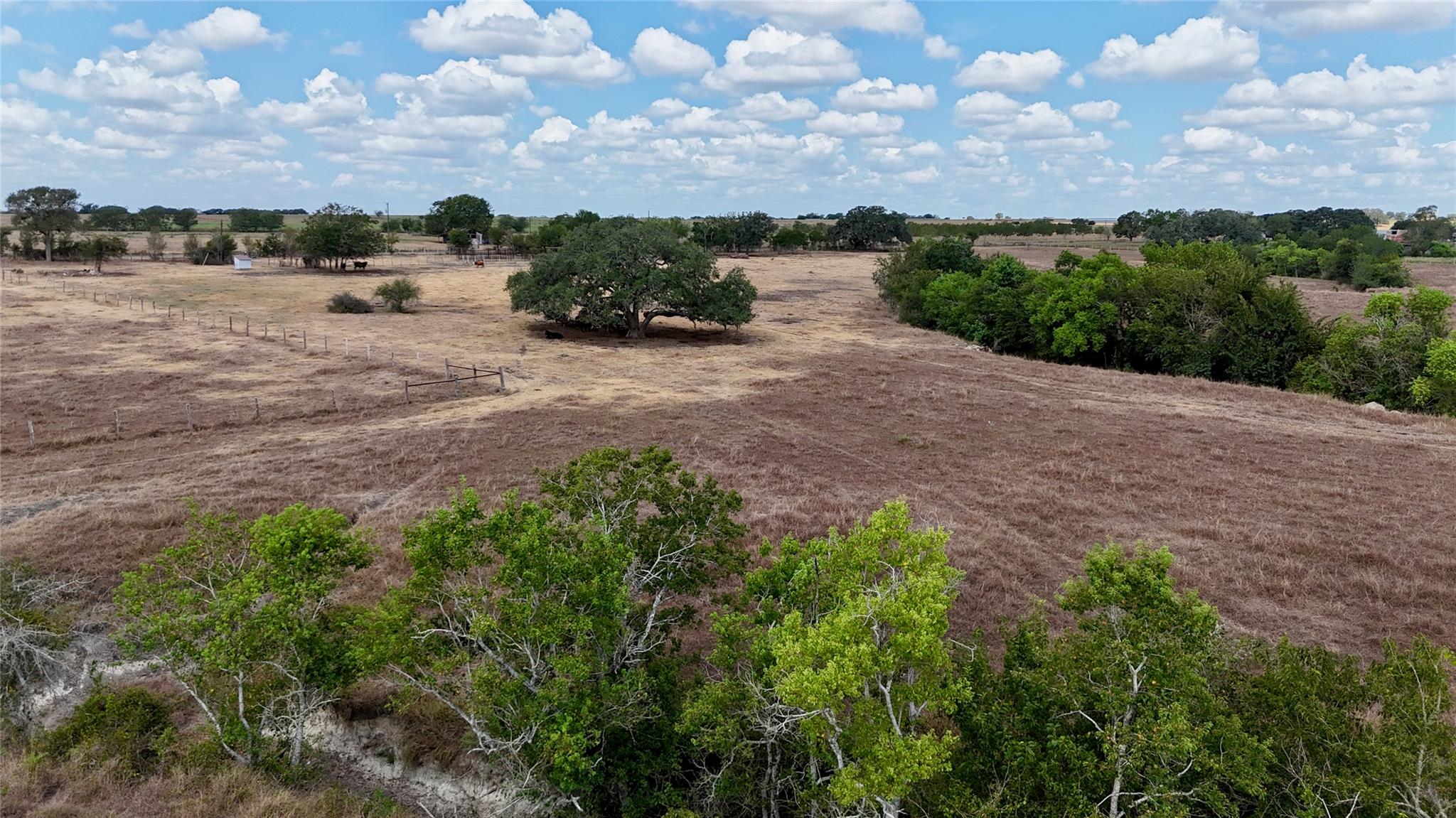 Tract 3 County Road 366 None, Shiner, TX, 77984