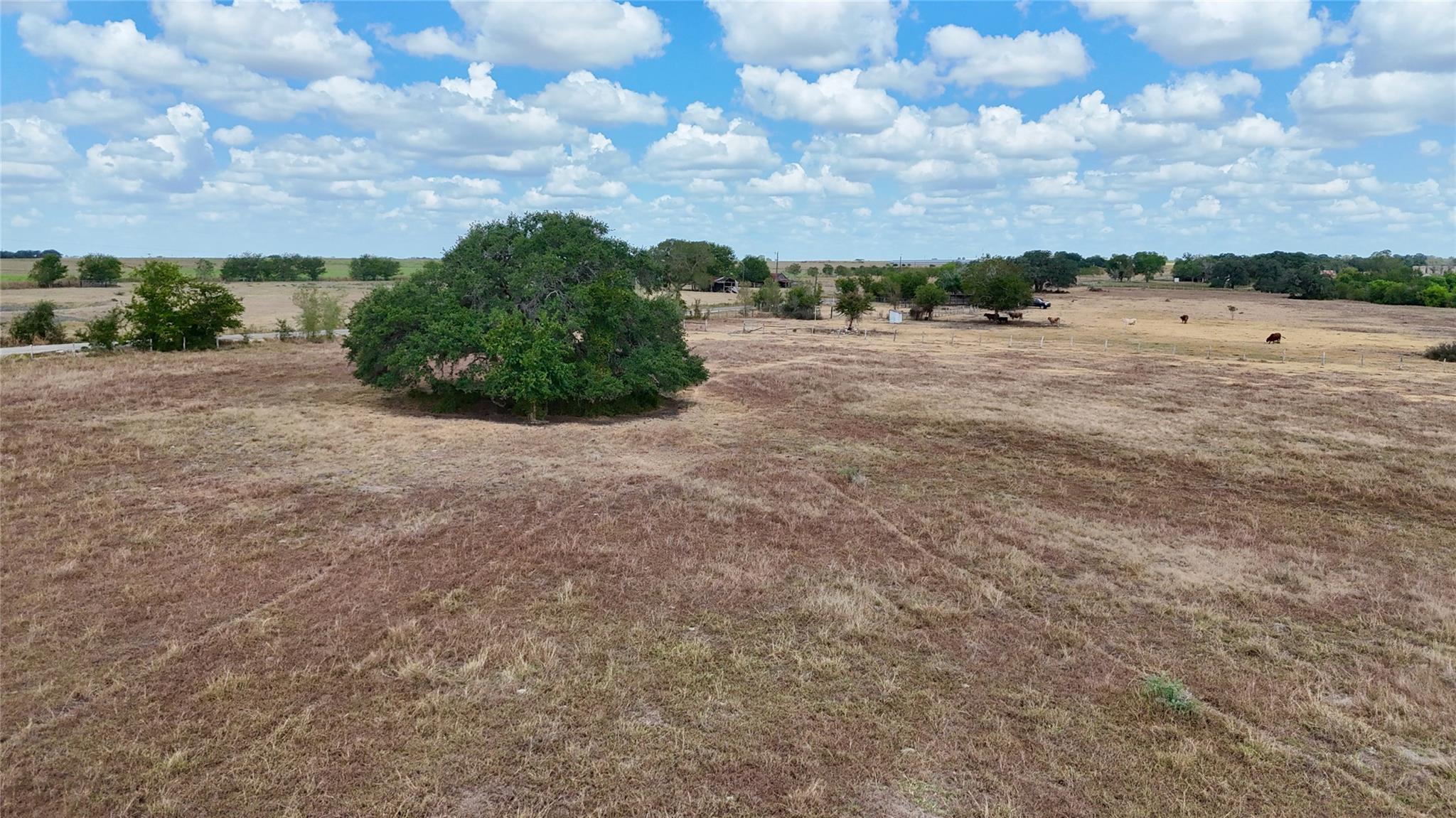 Tract 2 County Road 366 None, Shiner, TX, 77984