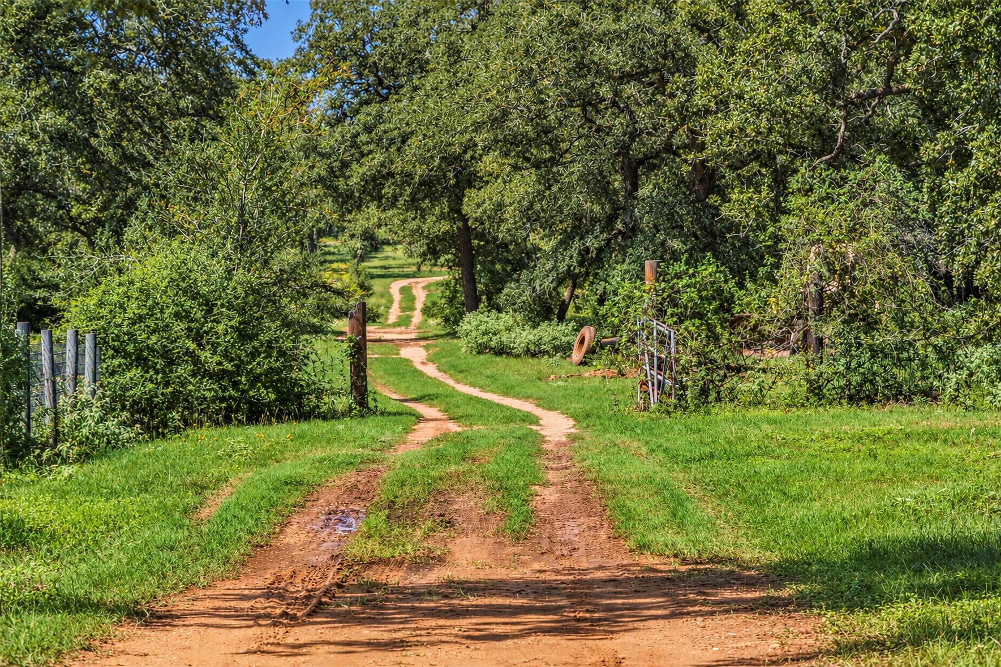 1208 Jeddo Rd, Rosanky, TX, 78953