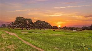 43 Rice Rd, Yoakum, TX, 77995
