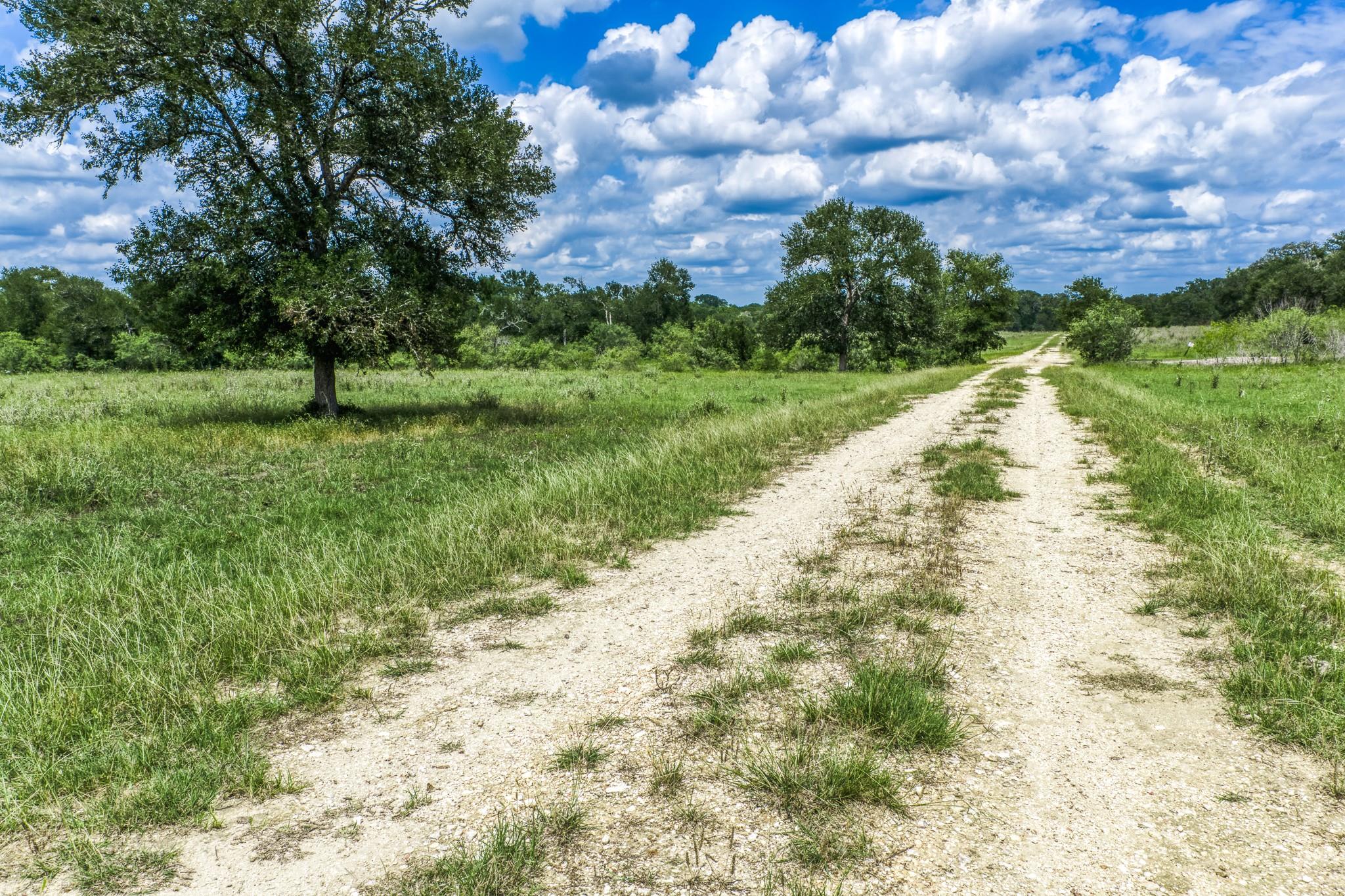TBD(+/- 237.91 AC) HWY 36 S None, Caldwell, TX, 77836