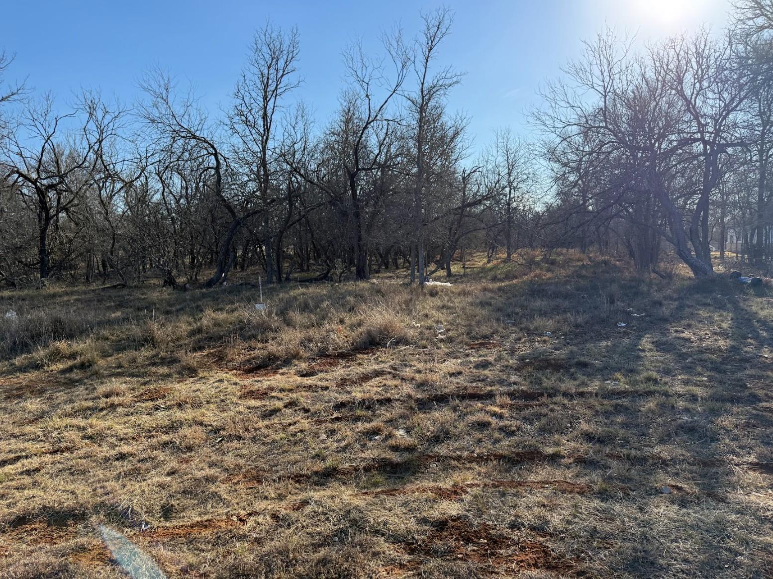 133 Chandler Cv, Cedar Creek, TX, 78612
