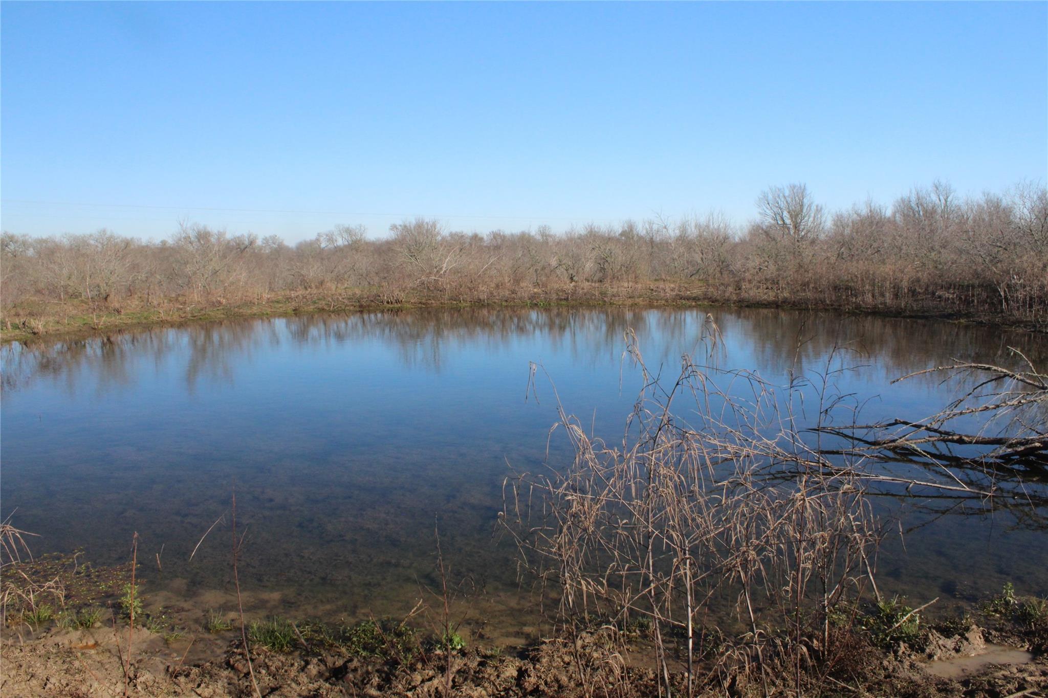 1223 County Road 429 None, Dime Box, TX, 77853