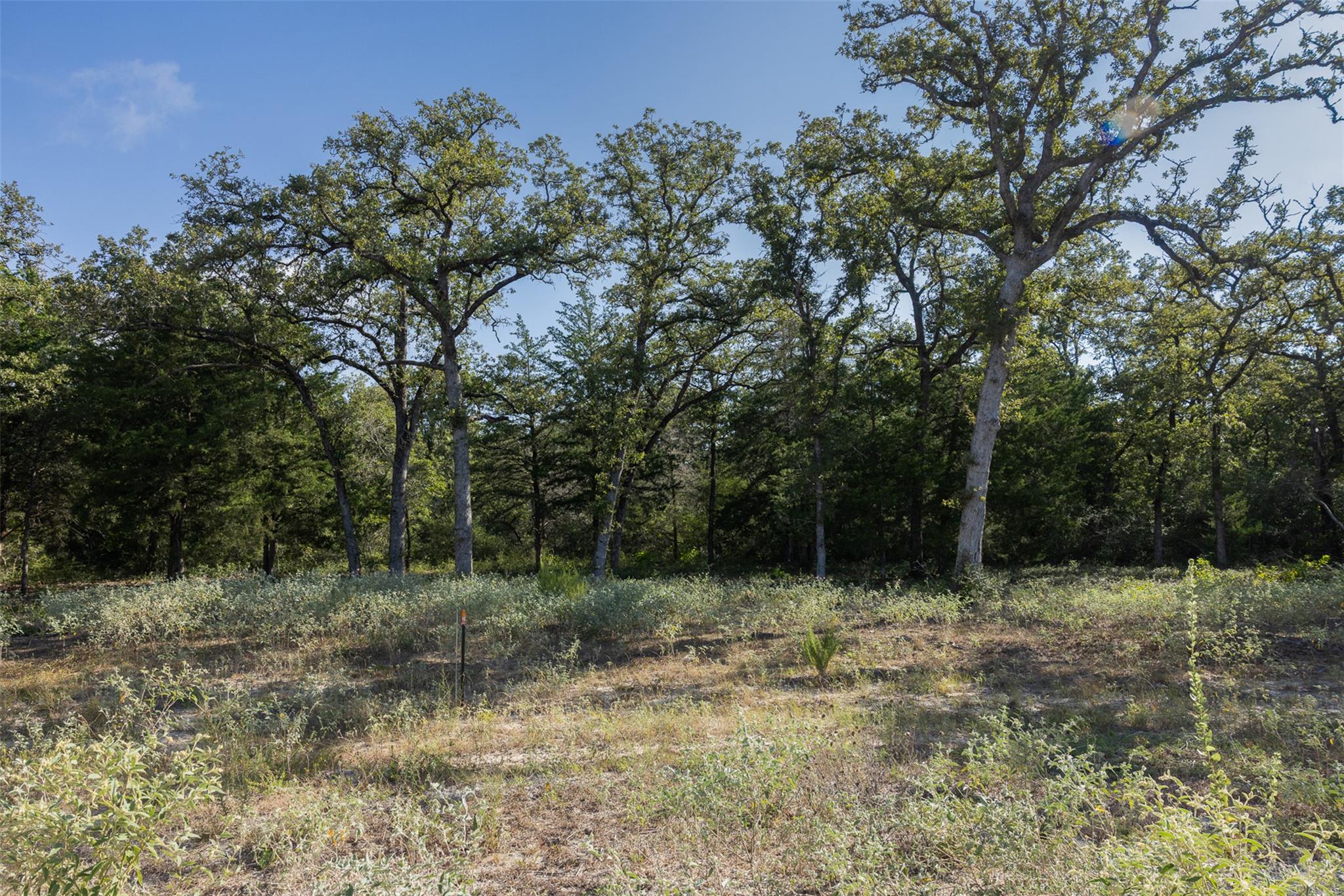 180 Autumn Oak Ct, Caldwell, TX, 77836