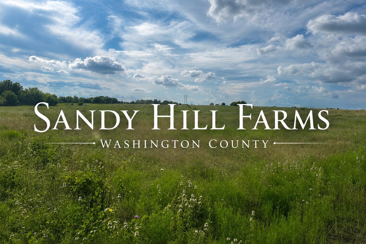 TRACT 3 Randermann Rd Rd, Brenham, TX, 77833