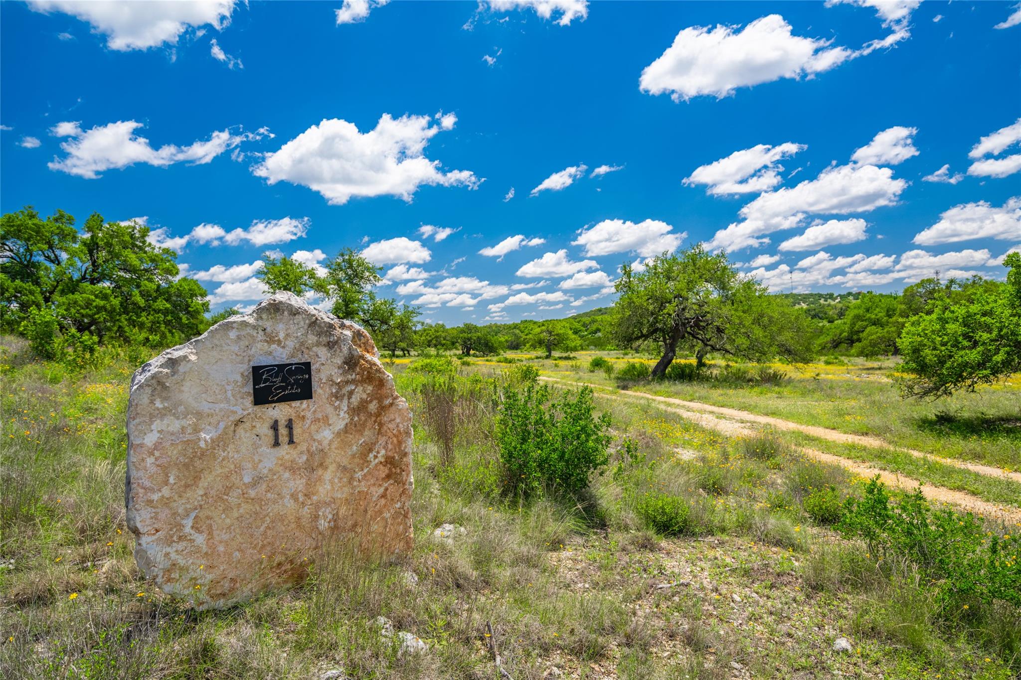 262 Cuesta Pass, Driftwood, TX, 78619