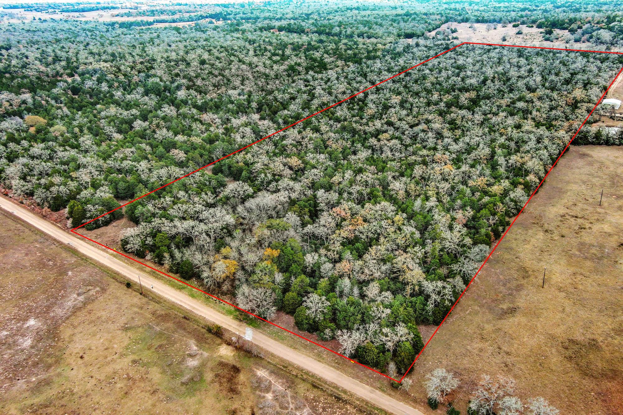 24 acres CR 332 Rd, Paige, TX, 78659