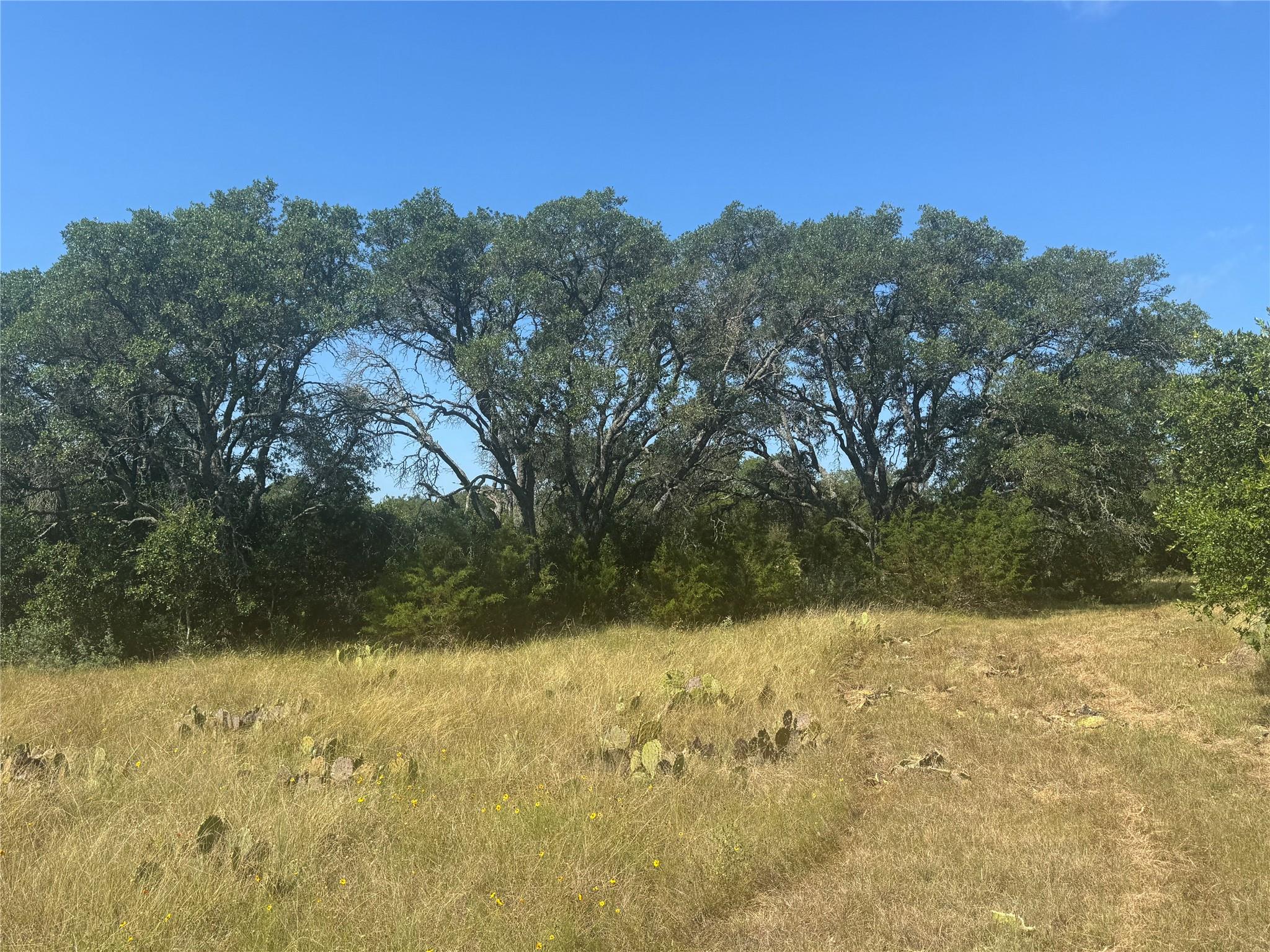 5 Back Bone creek Dr, Burnet, TX, 78611