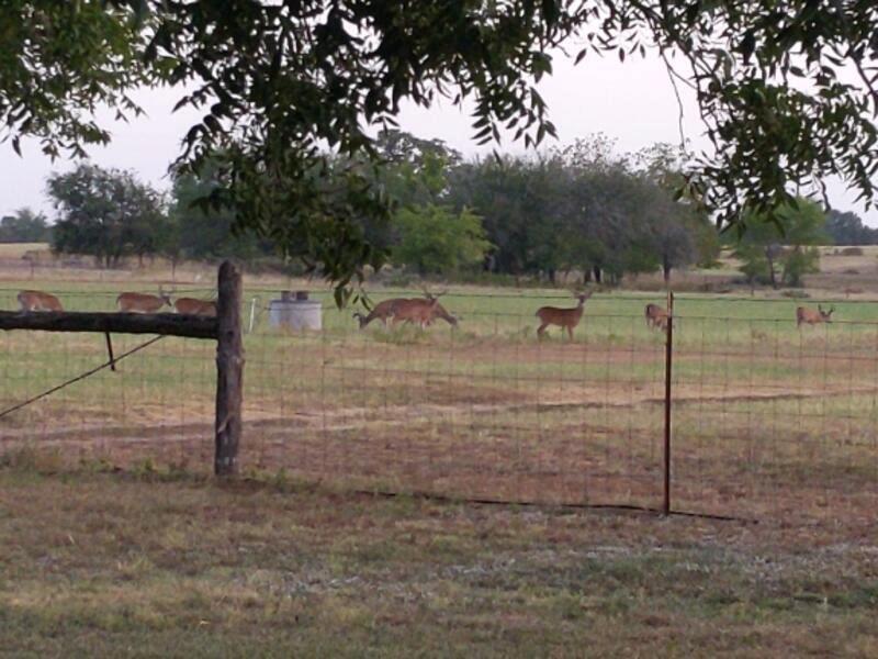 10905 S. FM 1915 FM 1915 Hwy, Buckholts, TX, 76518