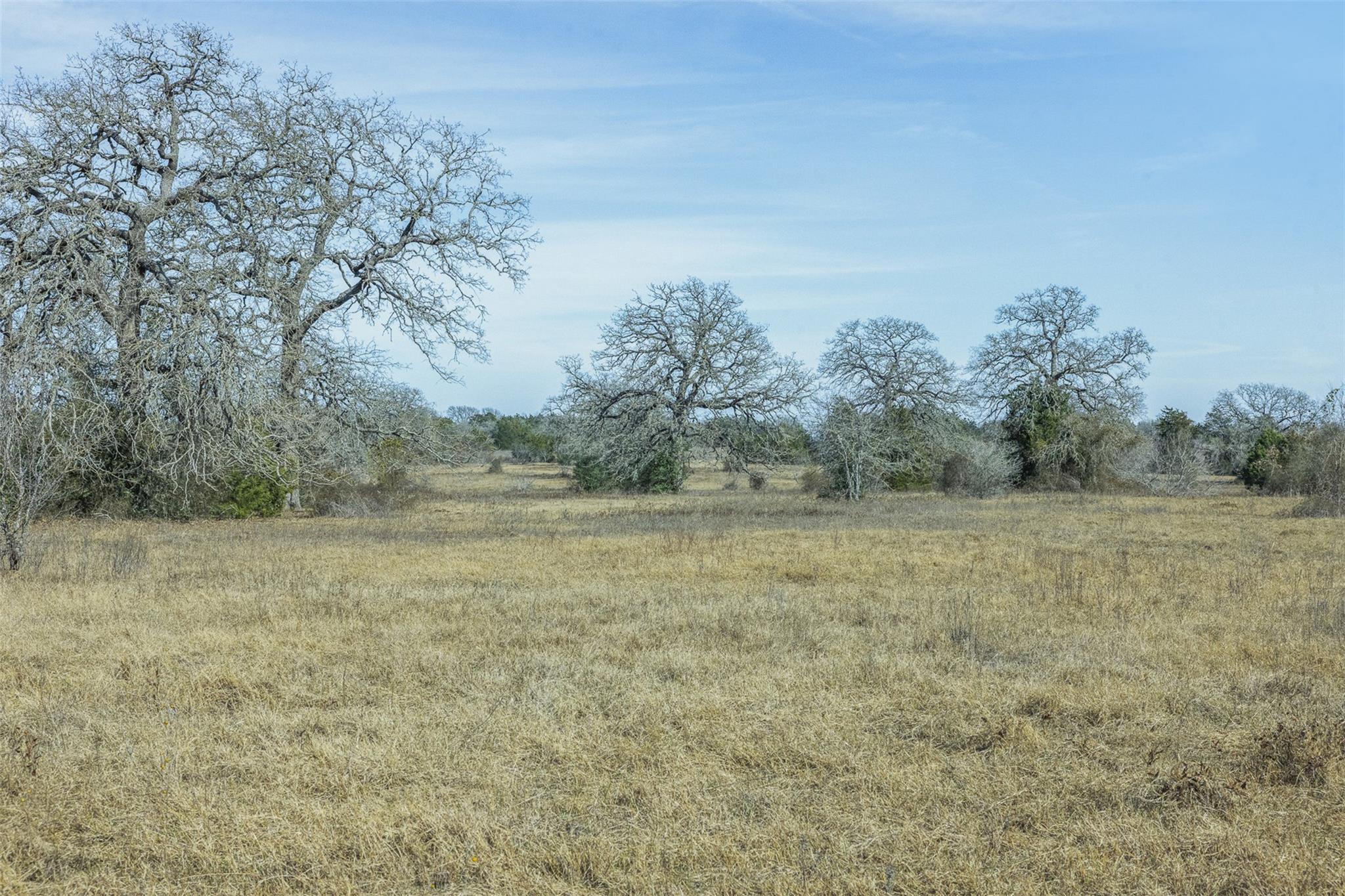 TBD CR 200 None, Giddings, TX, 78942