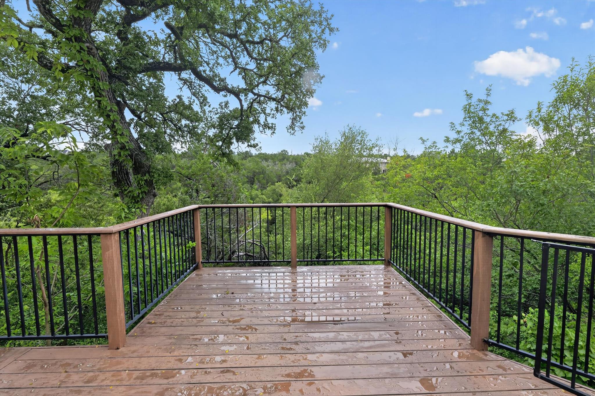 12421  Painted Bunting Dr, Austin, TX, 78726
