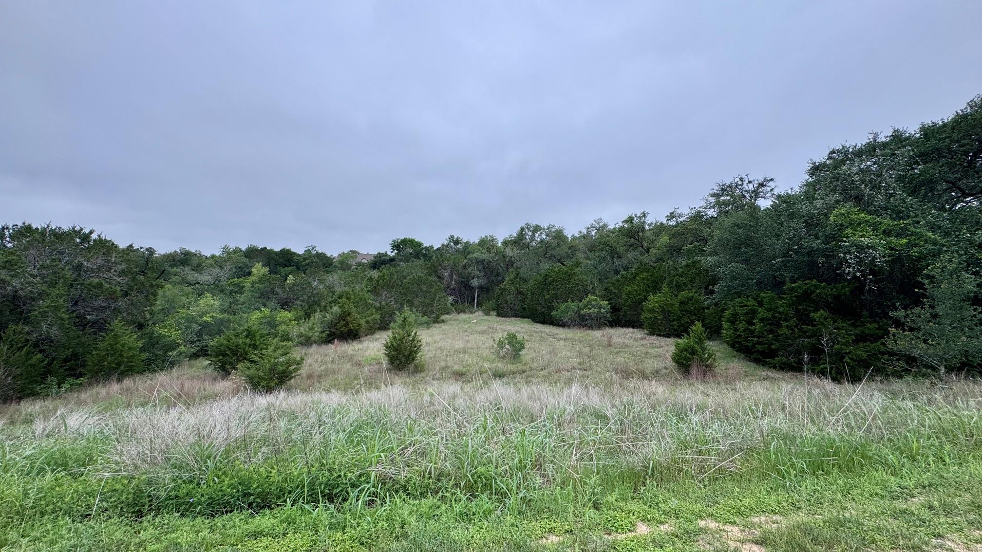 673 Yorks Xing, Driftwood, TX, 78619