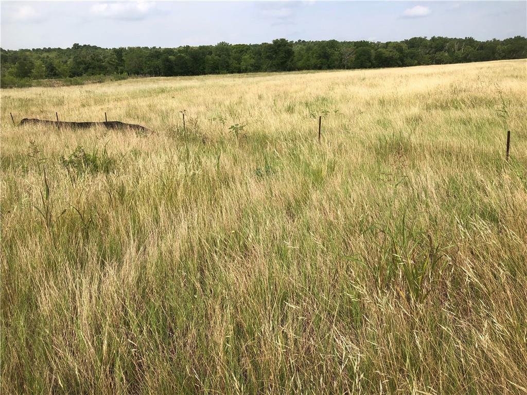 TBD Camino Real None, Kyle, TX, 78640