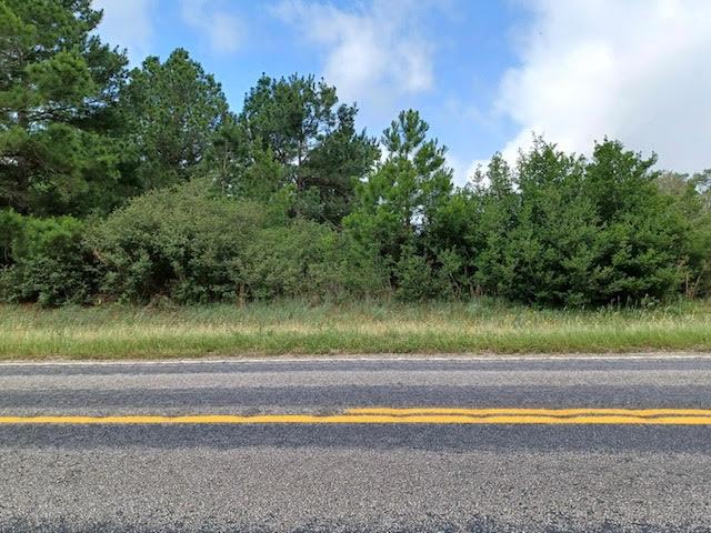 7179 FM 141 None, Dime Box, TX, 77853