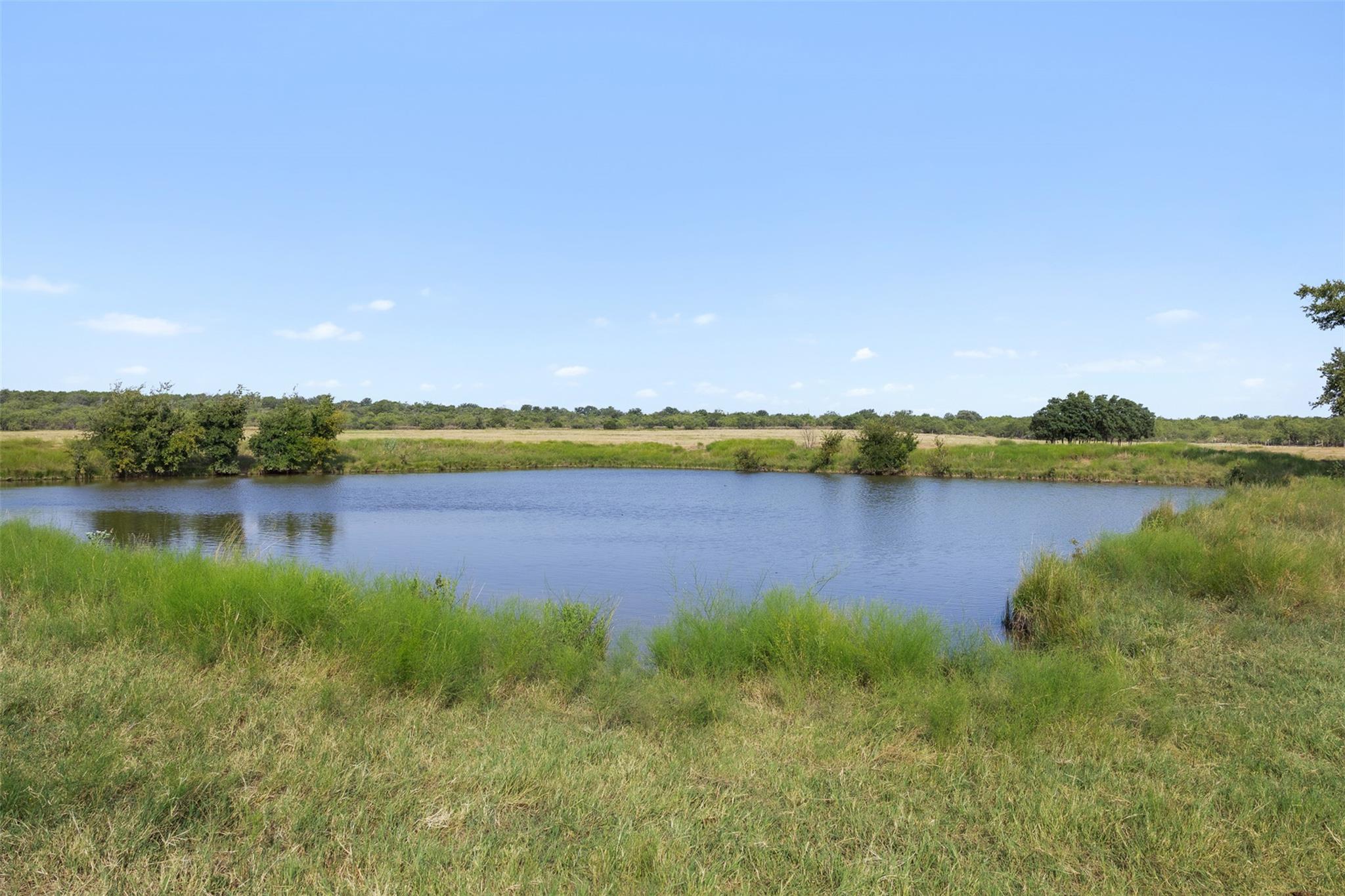 TBD FM 1176 S None, Santa Anna, TX, 76878