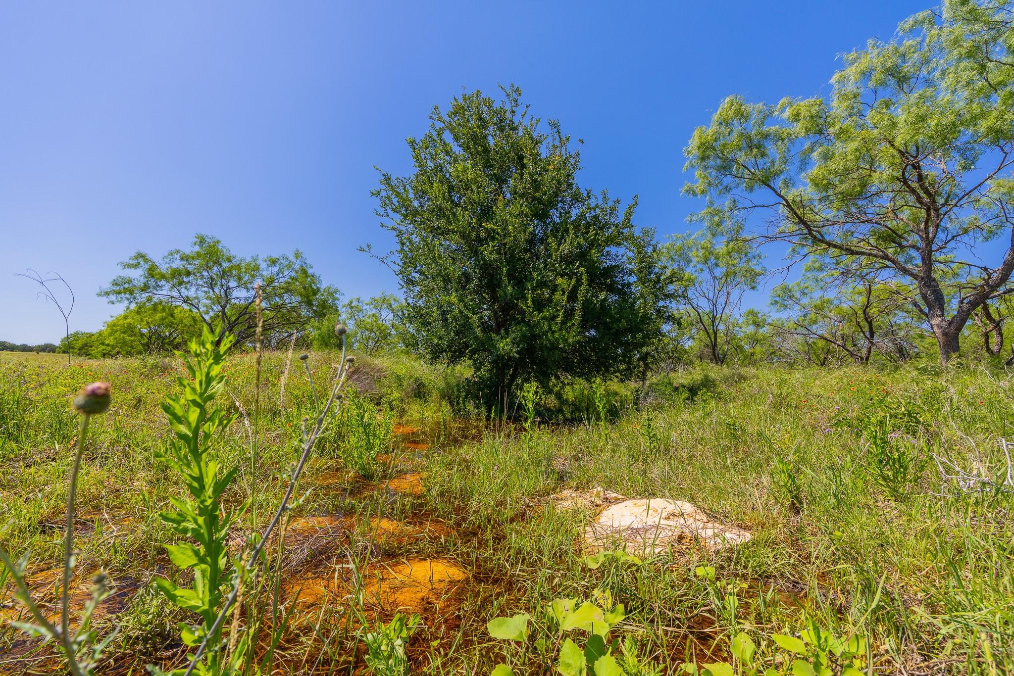 TBD Hidden Pond Ranch County Road 180 Rd, Purmela, TX, 76566