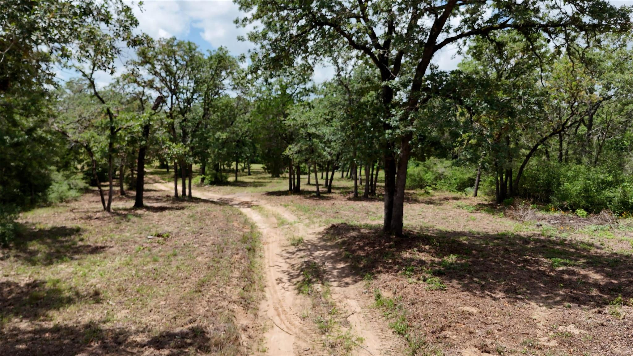 277 Meuth Cemetery Rd, Red Rock, TX, 78662