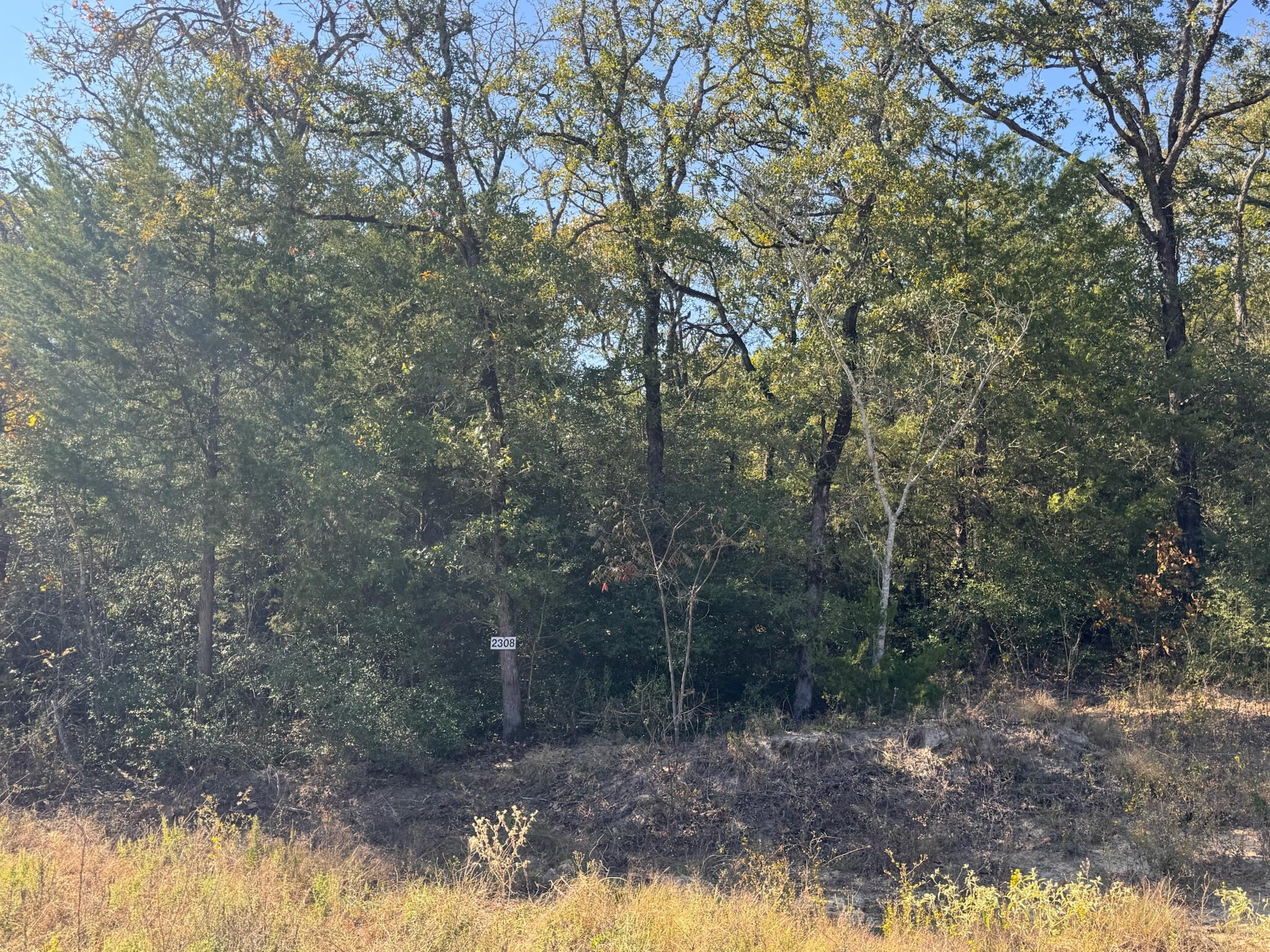 2308 Myrtle Ln, Cameron, TX, 76520