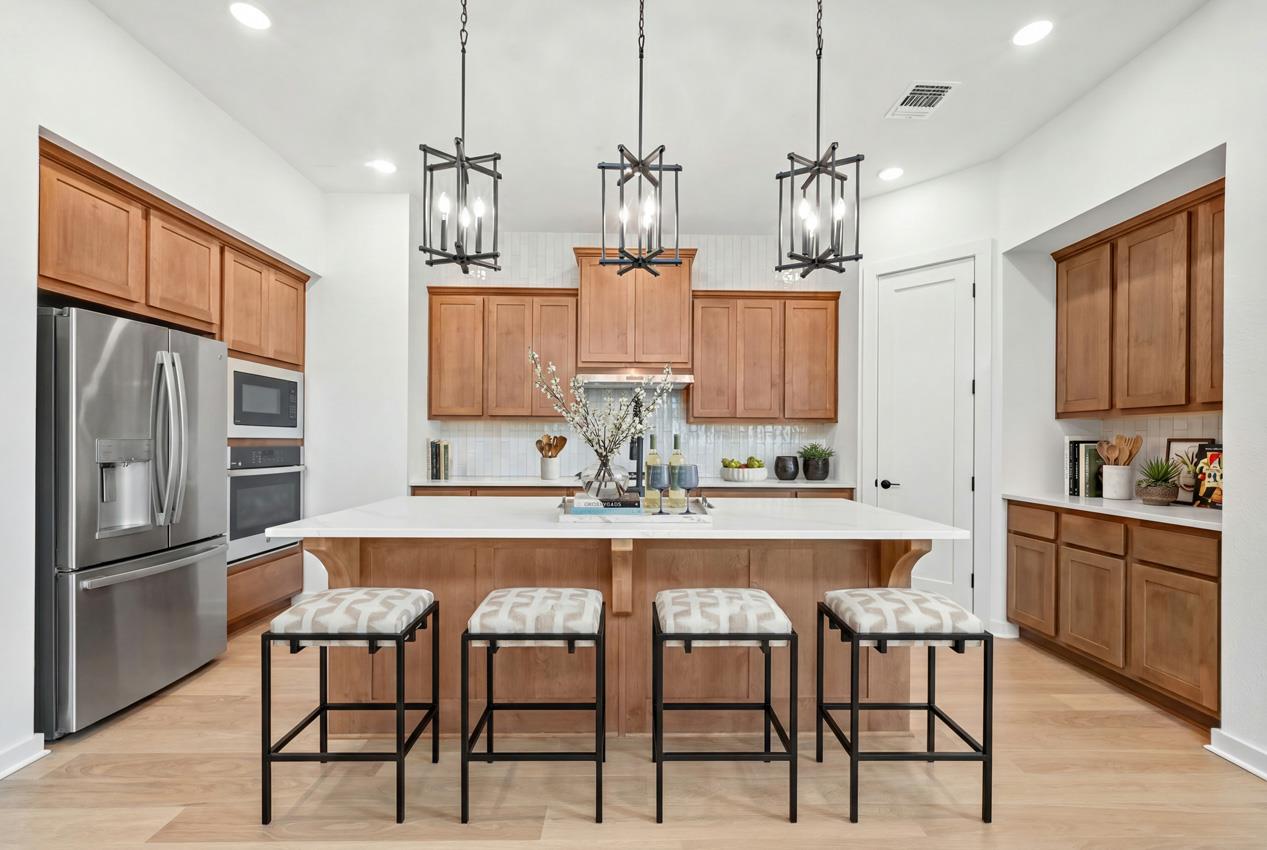 244  Basket Flower Loop, Kyle, TX, 78640