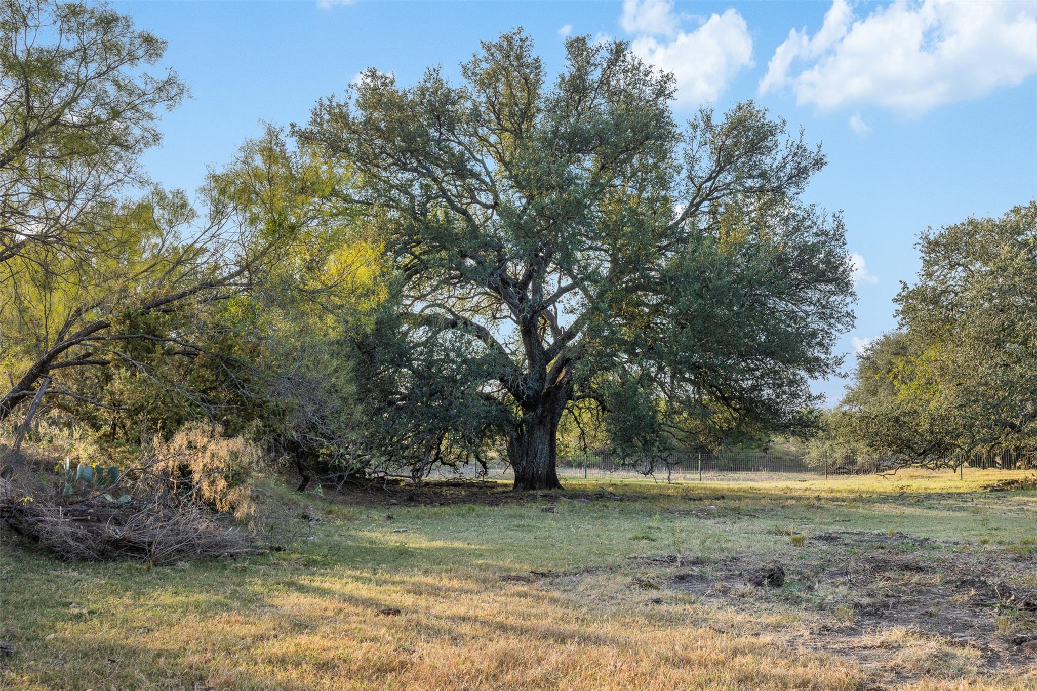Tract 3 TBD CR 424 None, Rochelle, TX, 76872