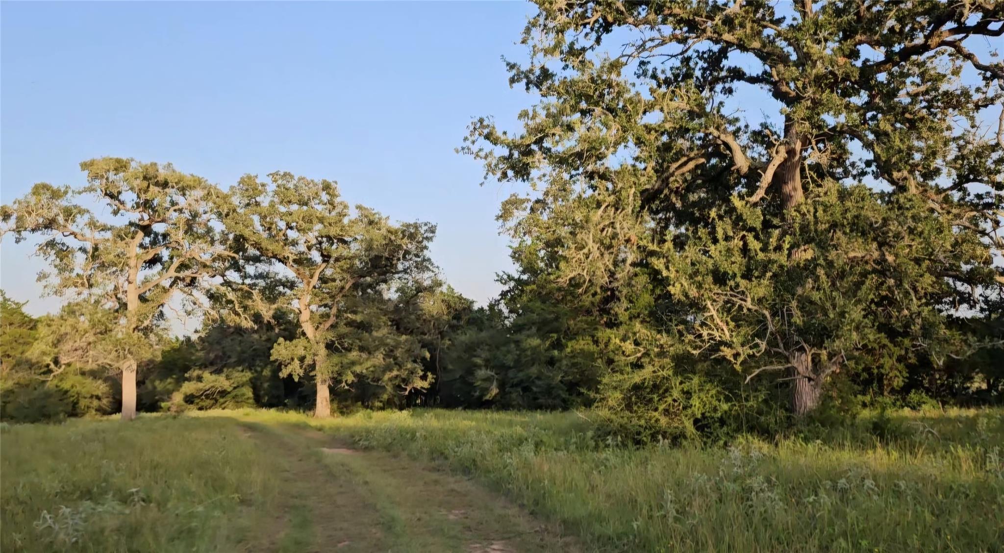 Ranch Land Easley Rd, Smithville, TX, 78957