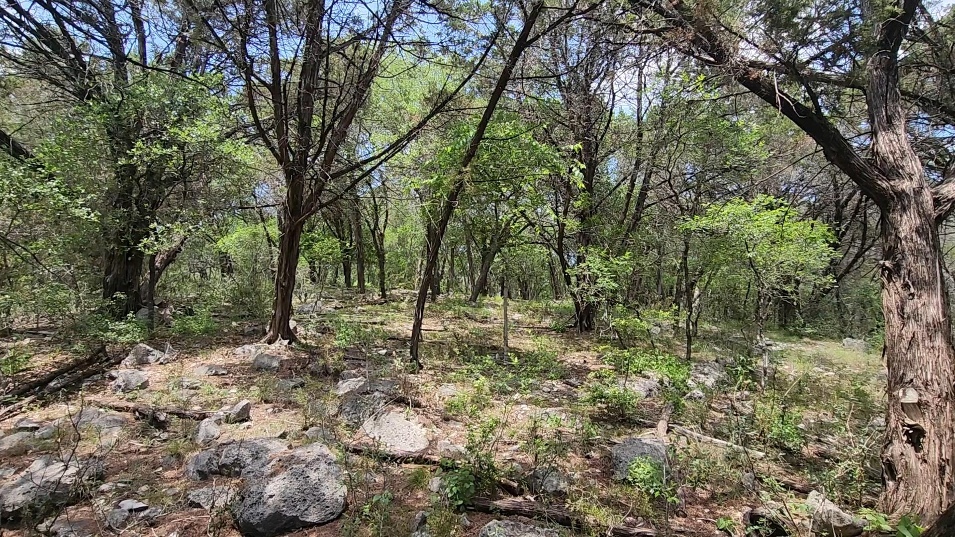 410 Owl Hollow Rd, San Marcos, TX, 78666