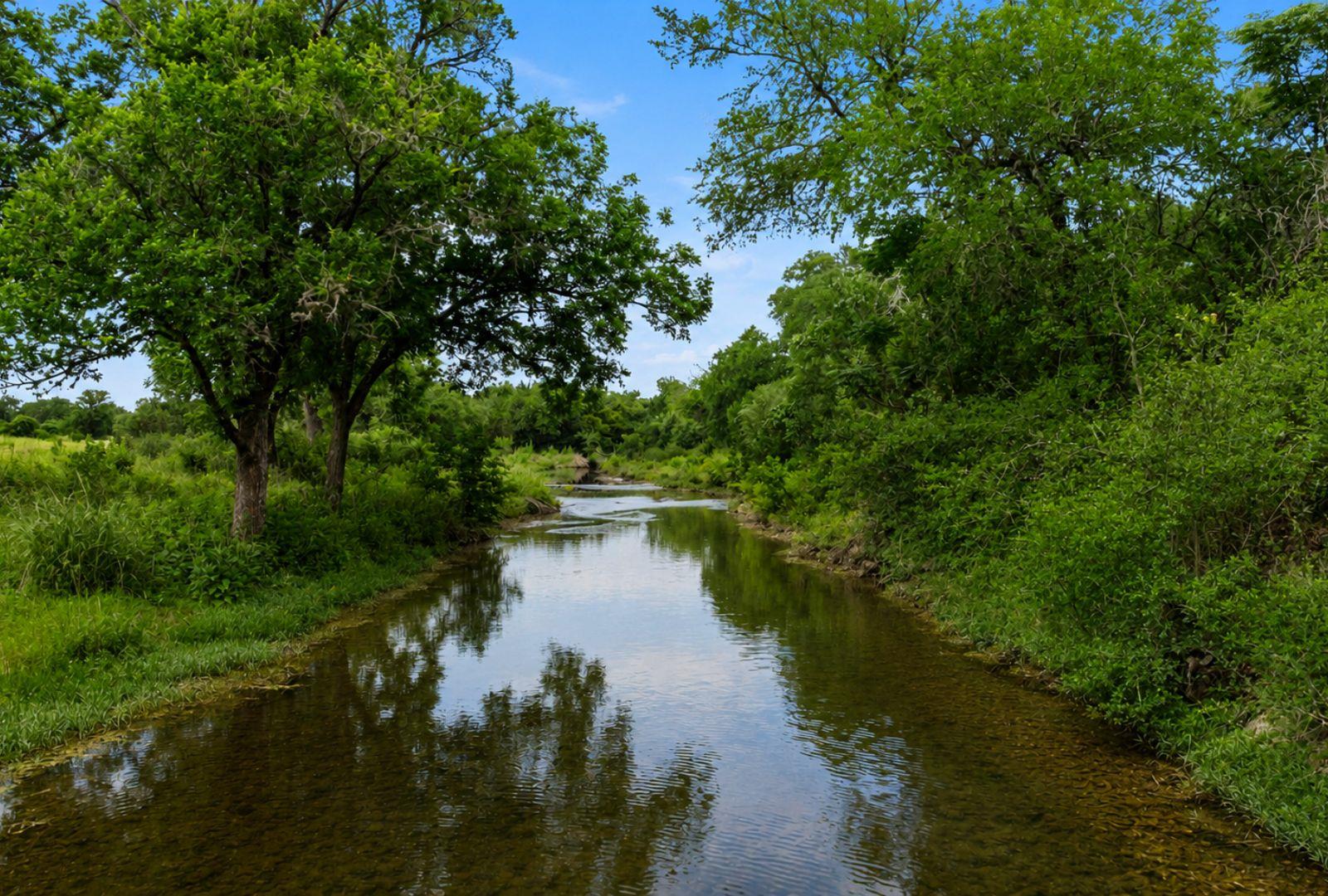 14440  Nutty Brown Rd, Austin, TX, 78737