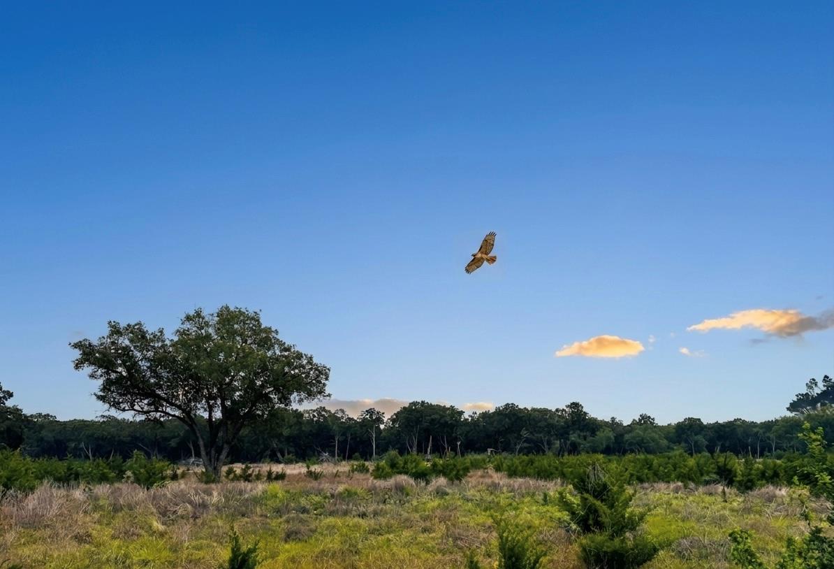Lot 52 Clearwater Canyon Rd, Bandera, TX, 78003