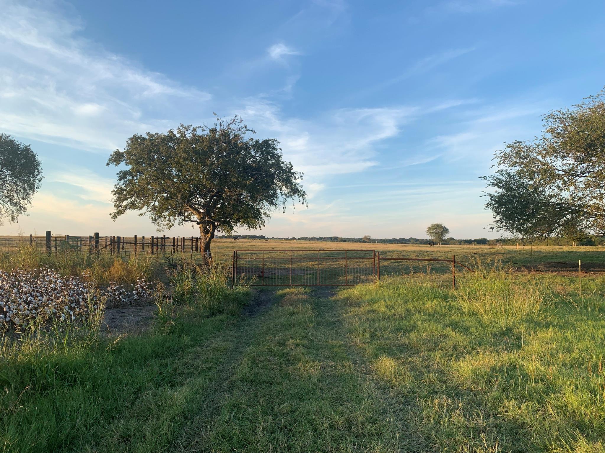 TBD2 County Road 154 None, Georgetown, TX, 78626