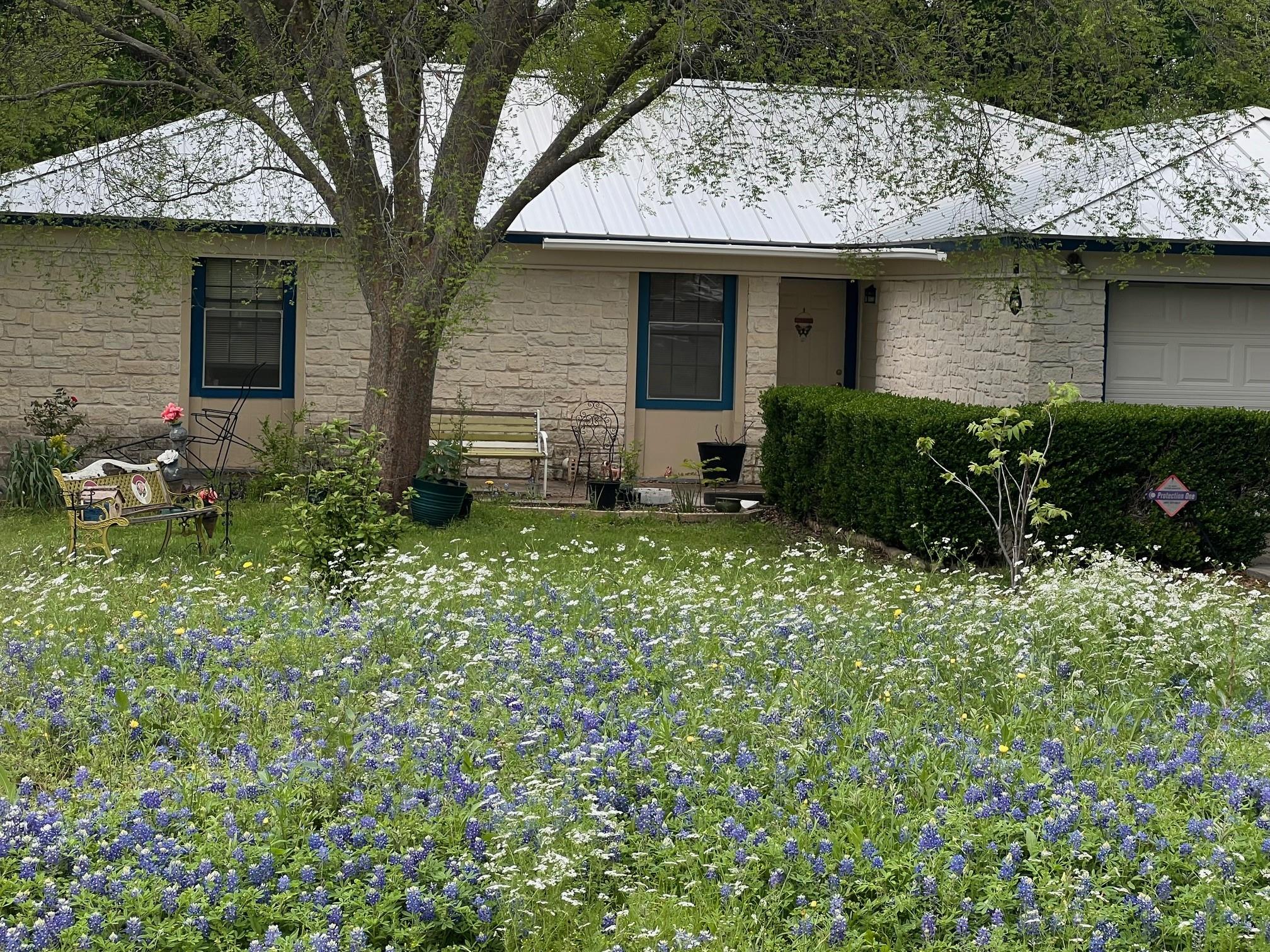 217 GREEN PASTURE Dr, Hutto, TX, 78634