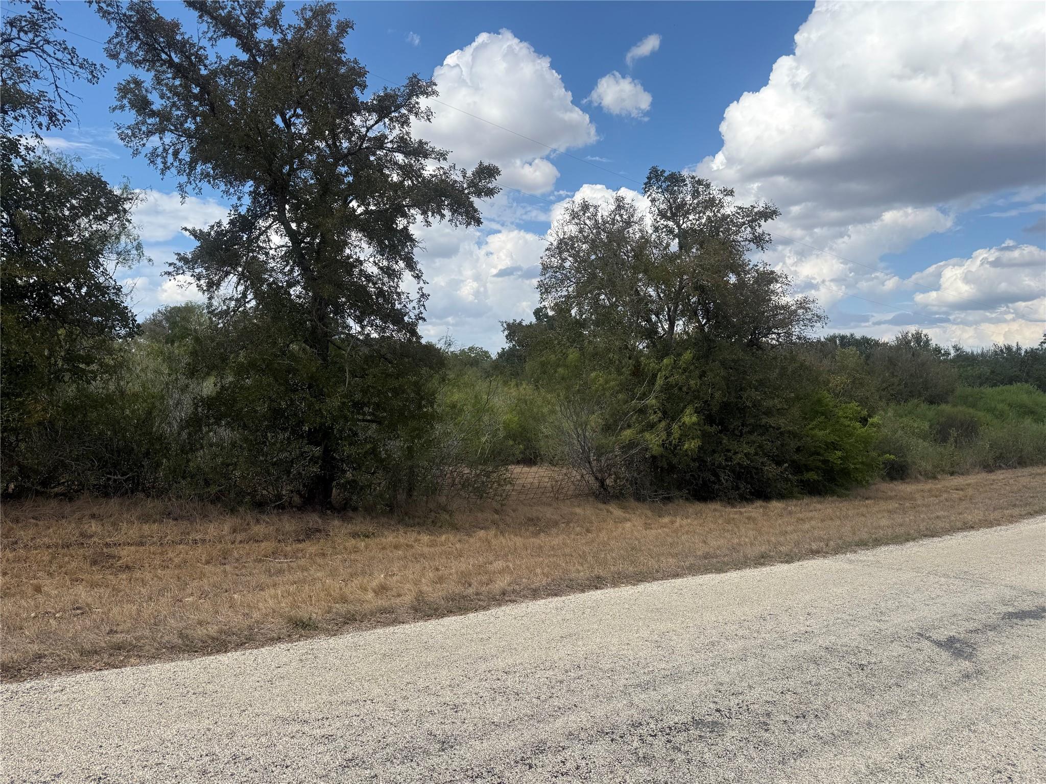 TBD Wilke Rd, Kingsbury, TX, 78638