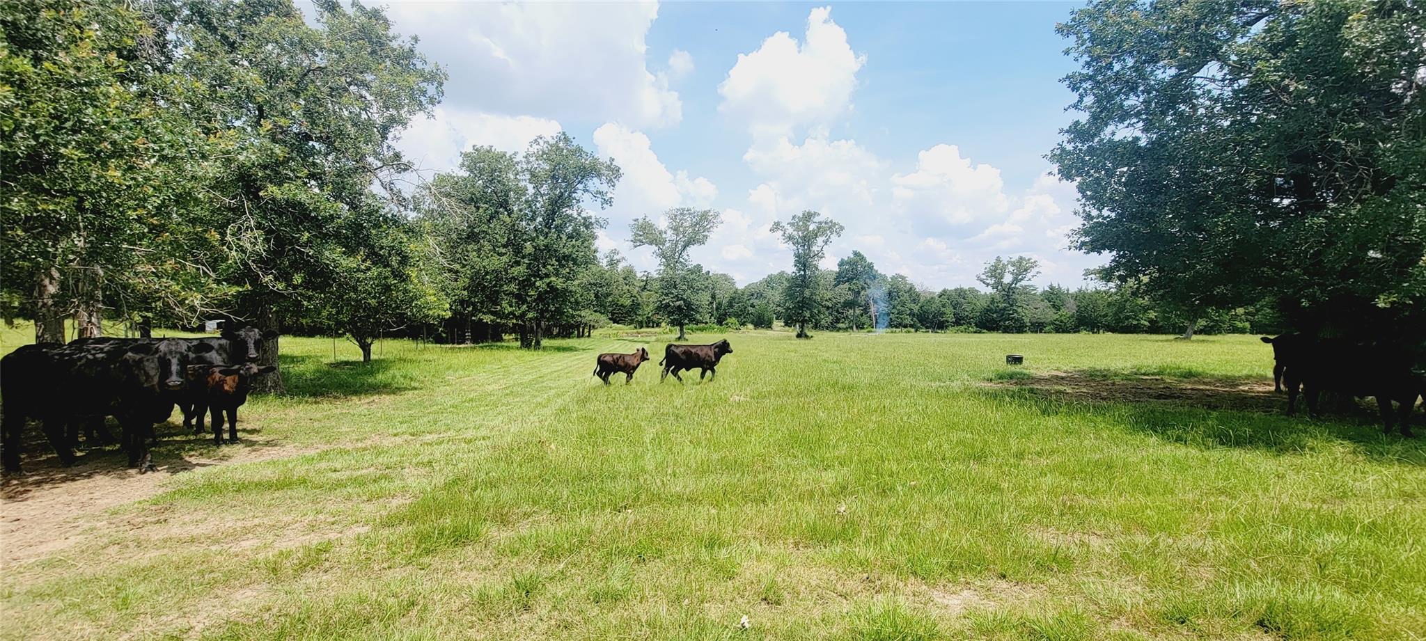 3321 County Road 457 None, Thorndale, TX, 76577