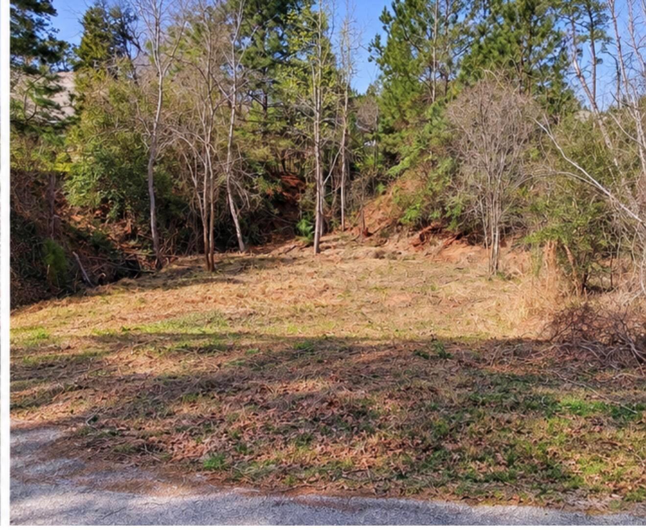 0 N Kanaio Dr, Bastrop, TX, 78602