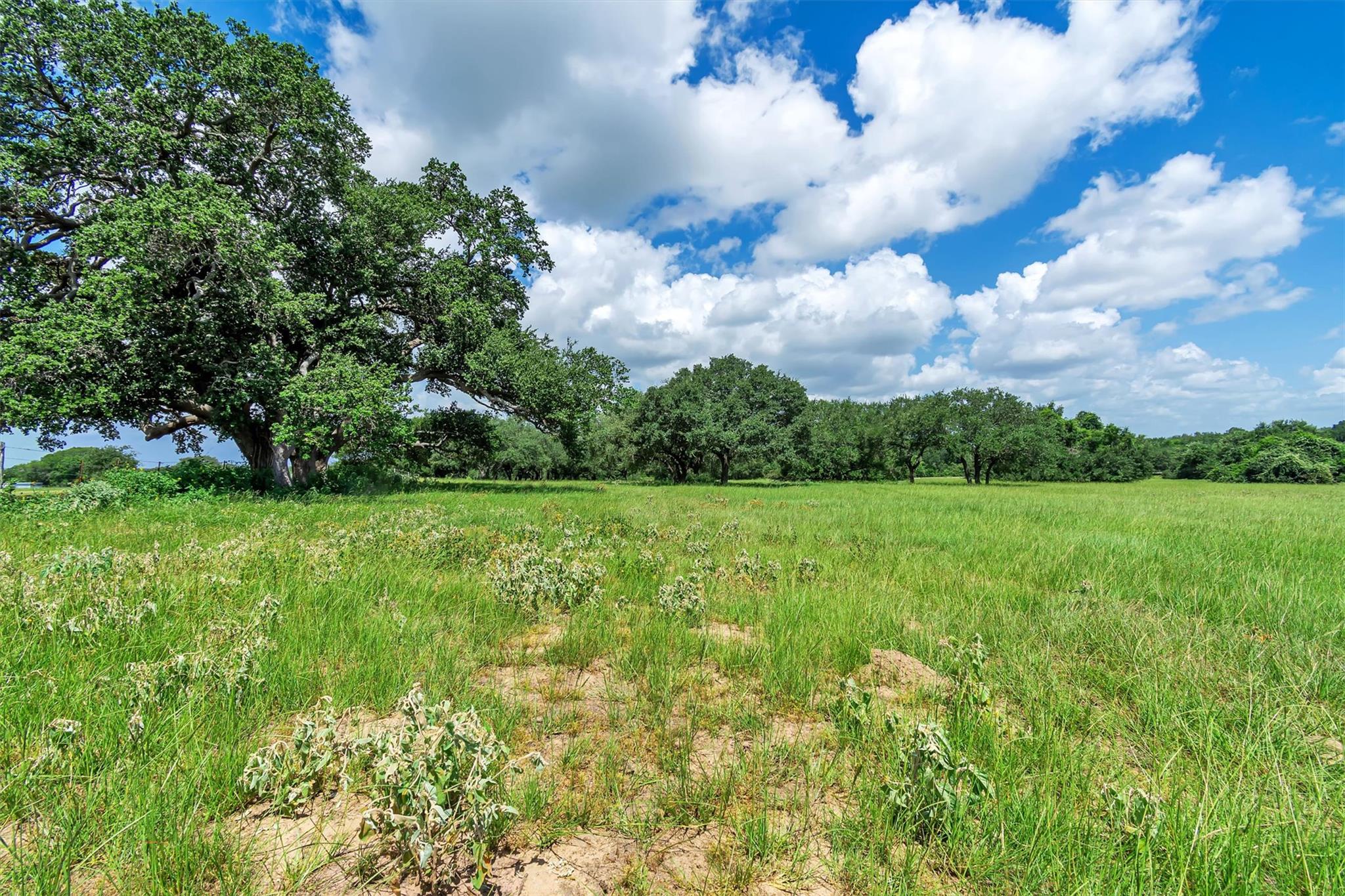 000 Old Cuero Rd, Yoakum, TX, 77995